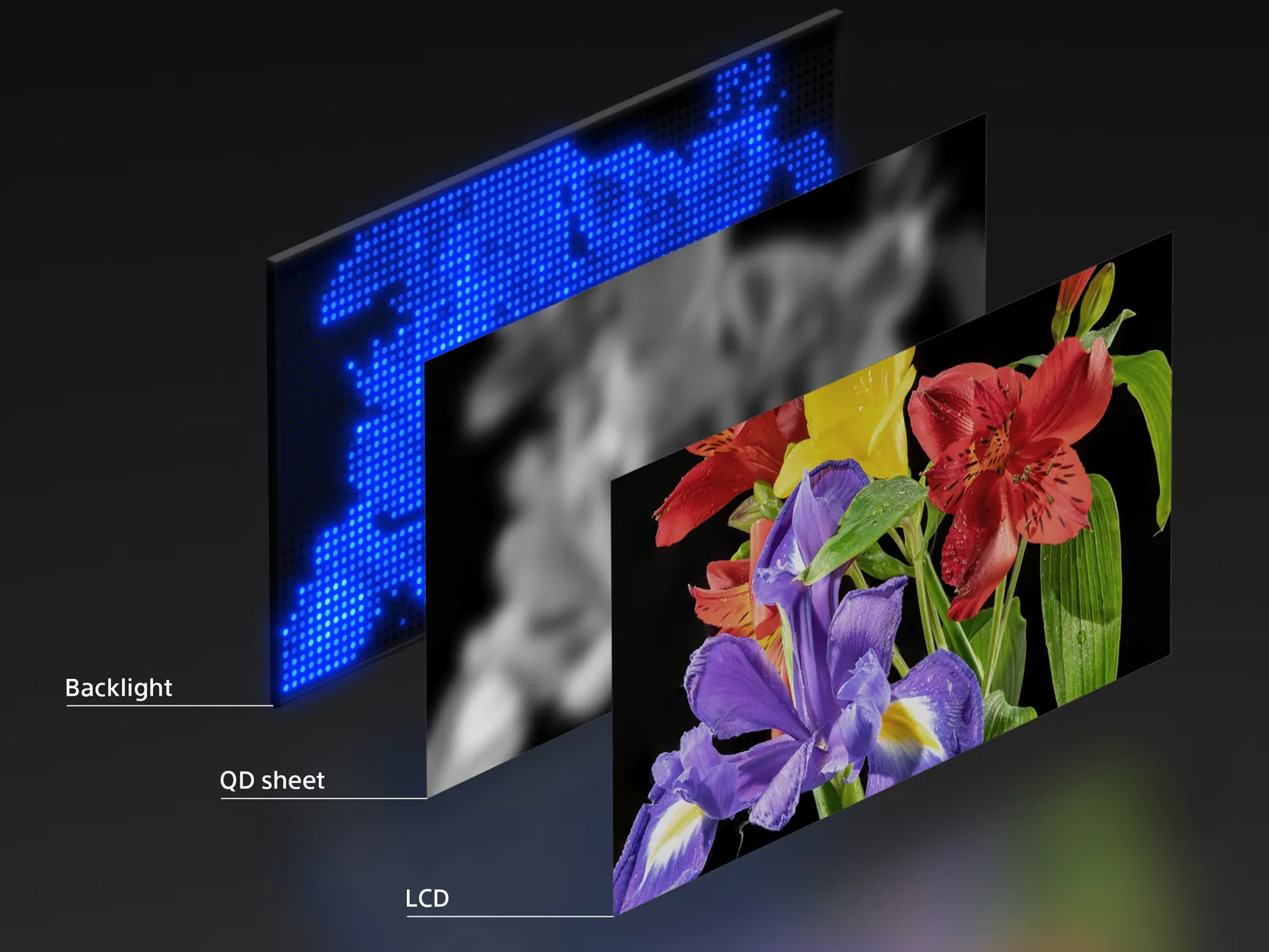 Sony's RGB LED TV