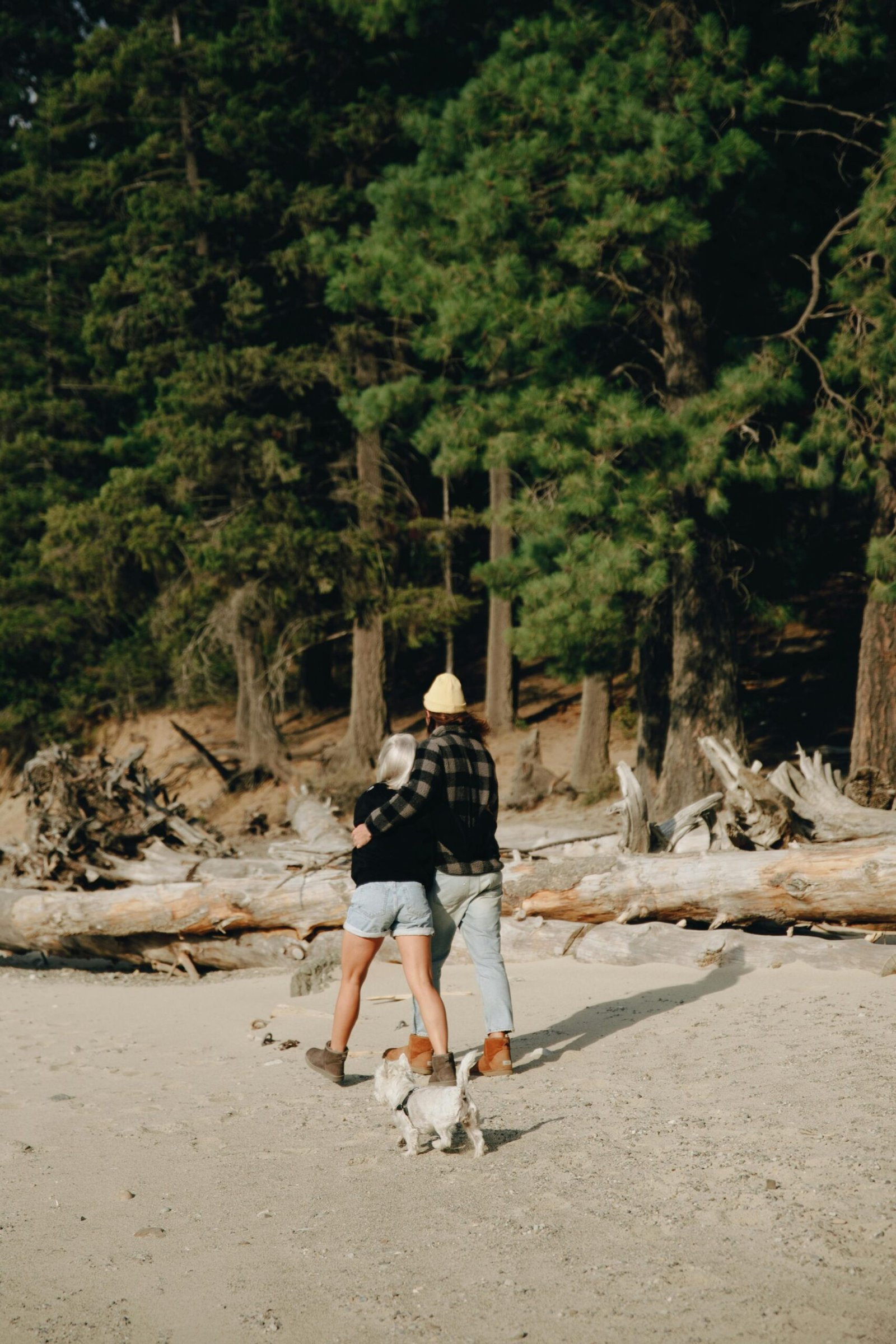 townsizing benefits A couple walks their dog on a sandy trail in a forest, showcasing nature's tranquility.